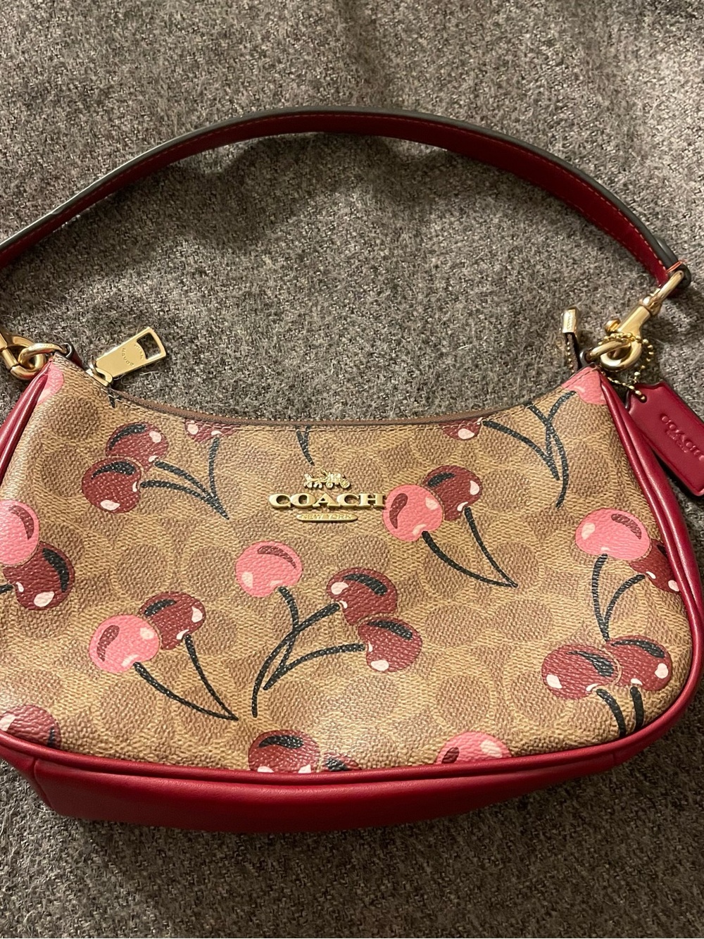 Coach Cherry-Print Mini Shoulder Bag in Brown and Red